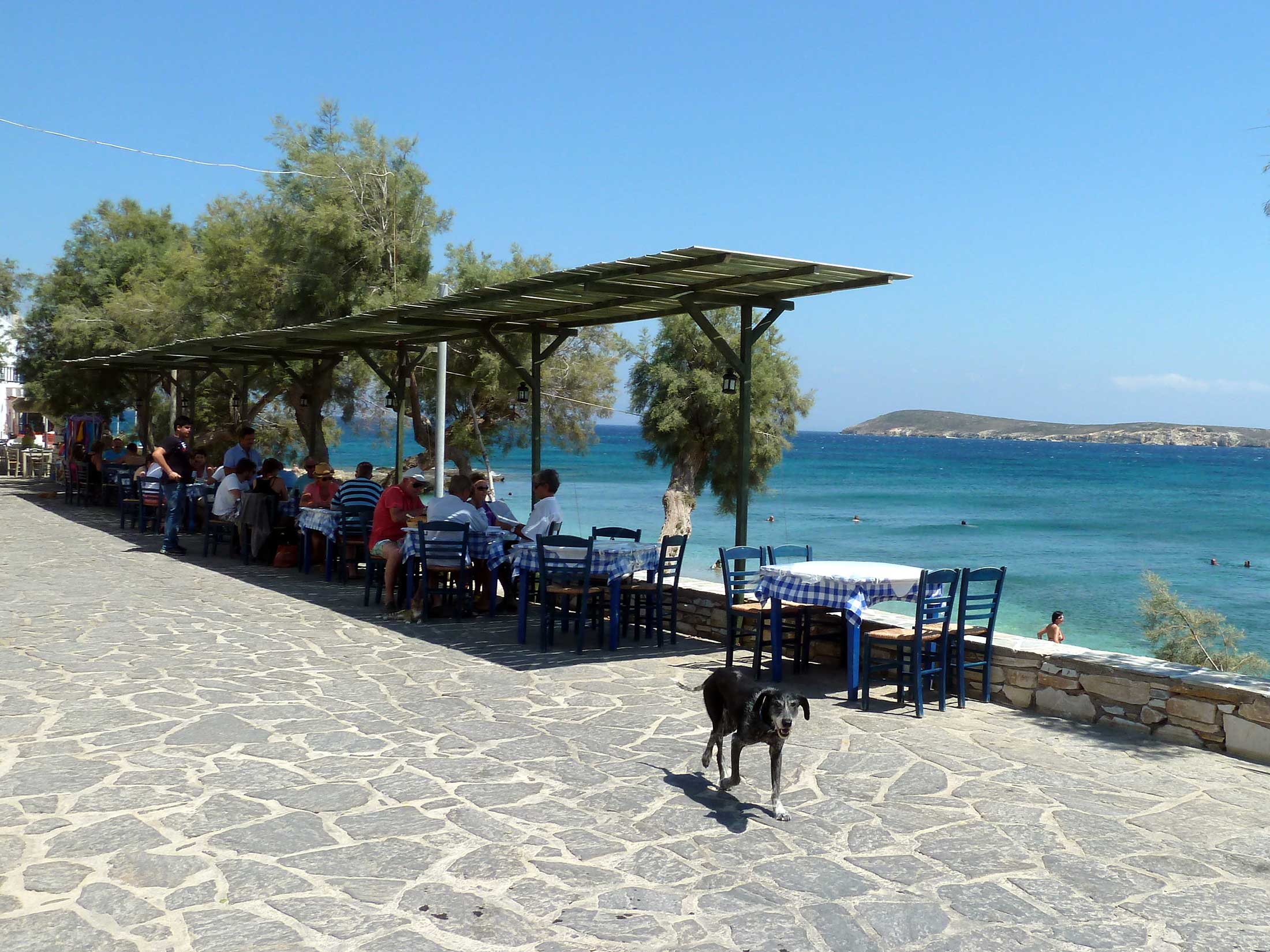 Dryos one-street harbor town