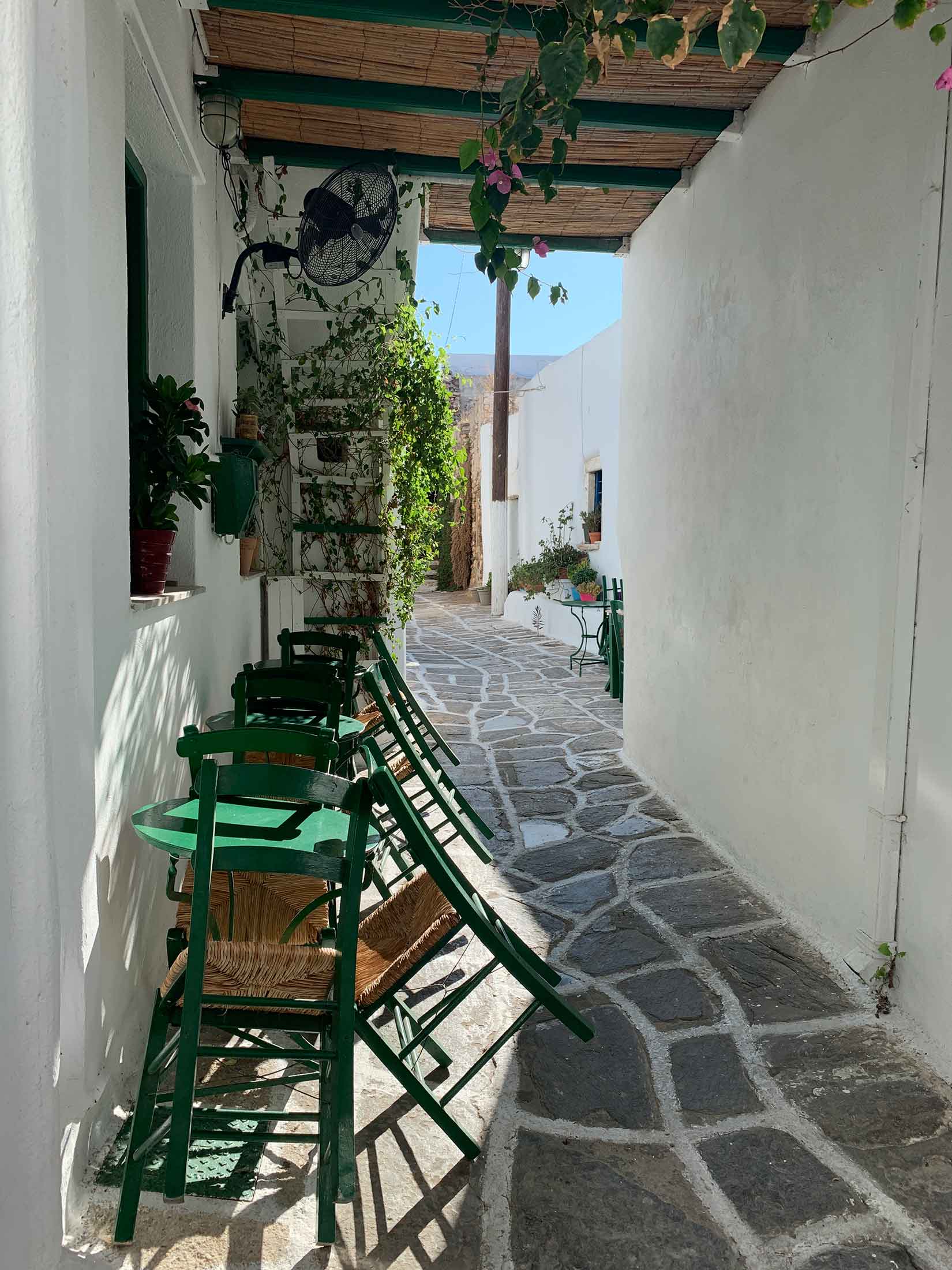 Typical paved narrow street of Naousa in Paros island, Greece